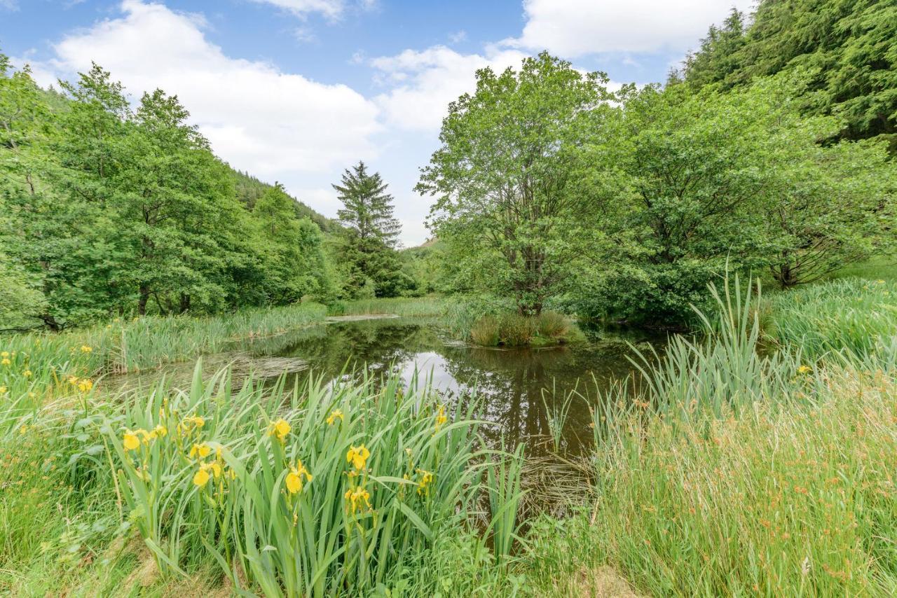 Groes Heol Villa Machynlleth Dış mekan fotoğraf